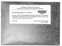 Image Associated With the Occurence